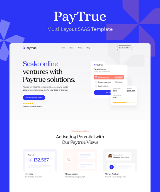 Paytrue